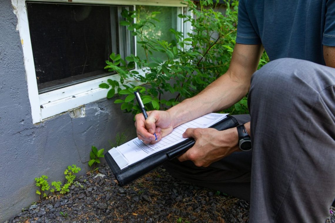 Quels recours choisir pour un jardin pollué au plomb après l’achat ?